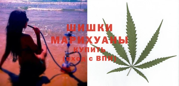 соль ск Вяземский