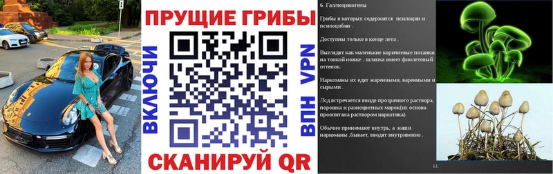 Галлюциногенные грибы MAGIC MUSHROOMS  Купить закладки  Инза 